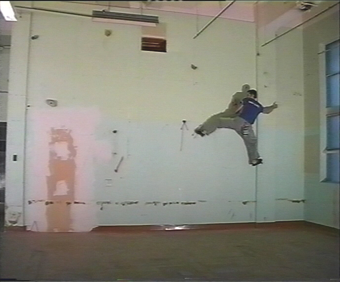 Penguin & the Guillemot 1999 (Site specific performance and video installation)